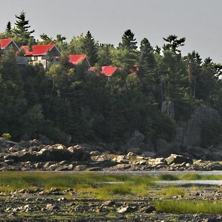 Camping & Chalets De La Demi-Lieue Hotel Saint-Jean-Port-Joli ภายนอก รูปภาพ